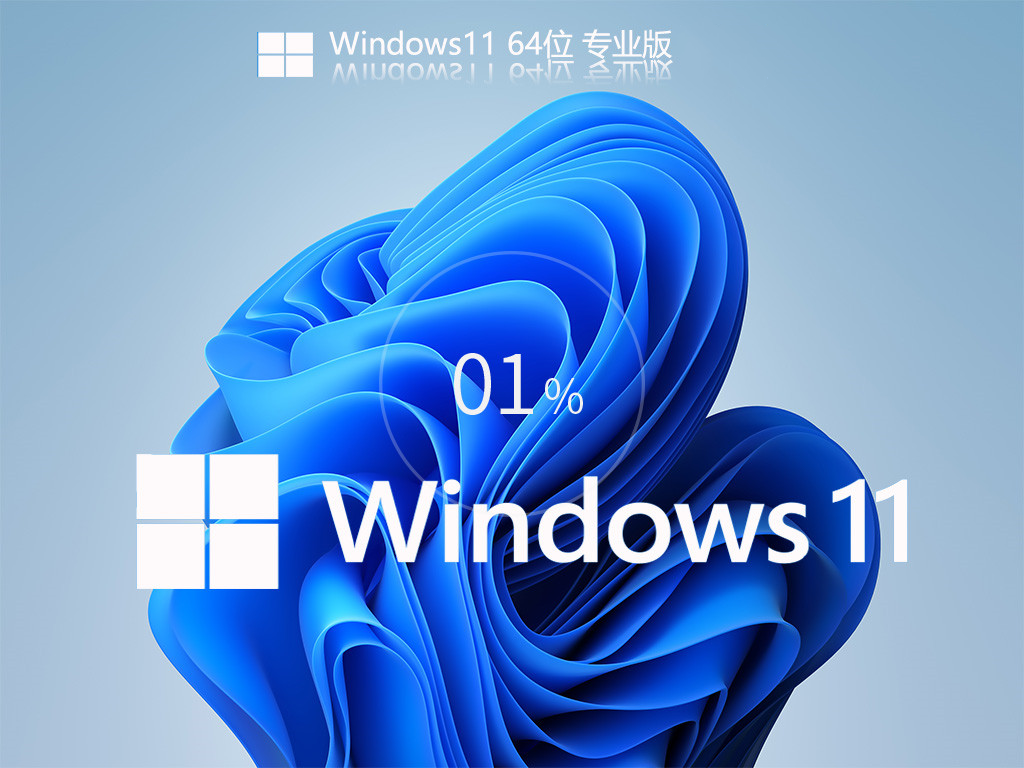 Win11
